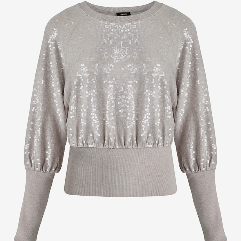 Sequin Crew Neck Sweatshirt Silver